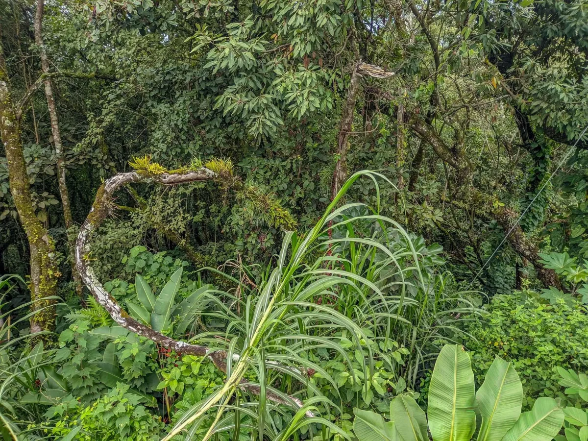 Mountain View Lot for Sale in Volcancito, Boquete