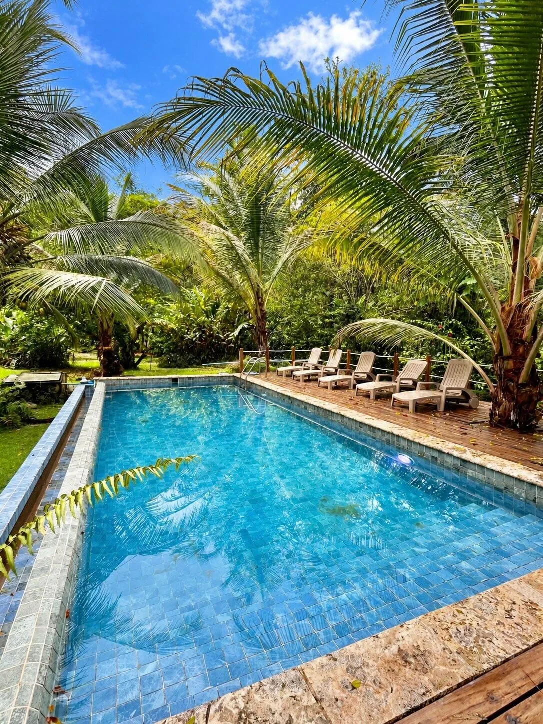 Tropical Caribbean Estate with Guest Cabin & Pool