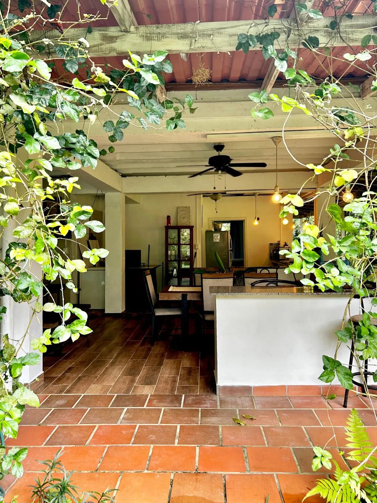 Tropical Caribbean Estate with Guest Cabin & Pool