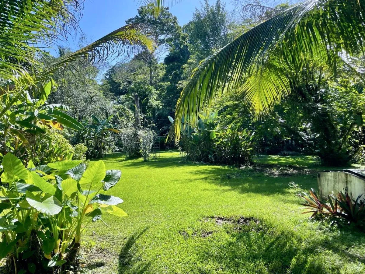 Tropical Caribbean Estate with Guest Cabin & Pool