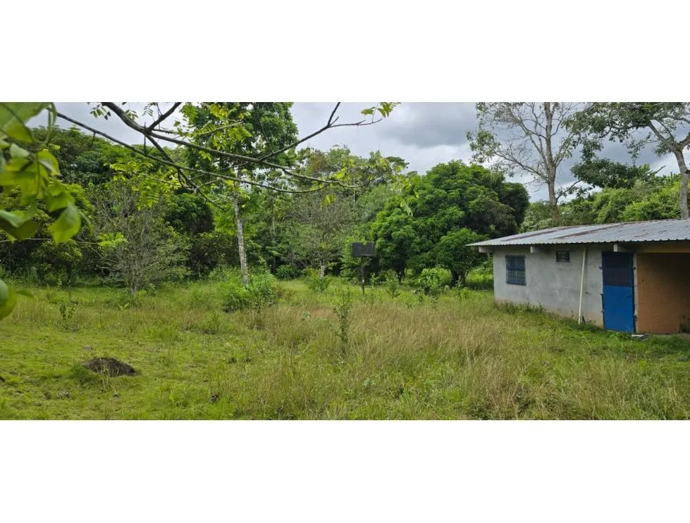 Land Sale in Nuevo Emperador, Arraiján. MY