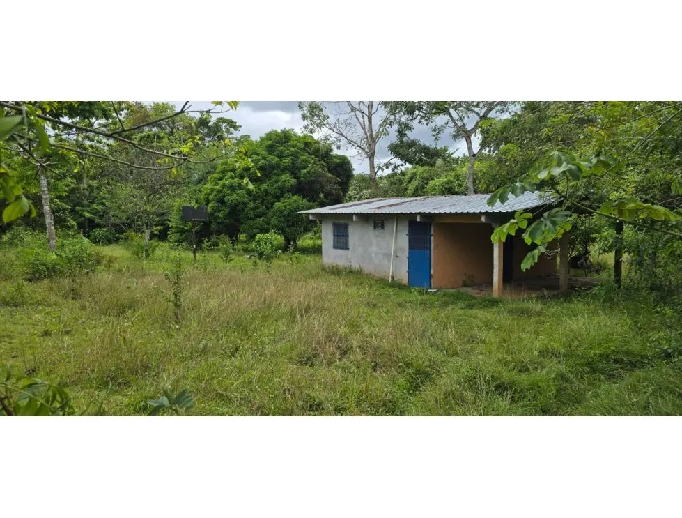 Land Sale in Nuevo Emperador, Arraiján. MY
