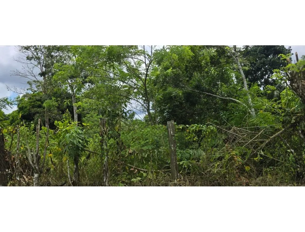 Land Sale in Nuevo Emperador, Arraiján. MY