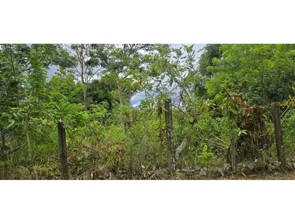 Land Sale in Nuevo Emperador, Arraiján. MY