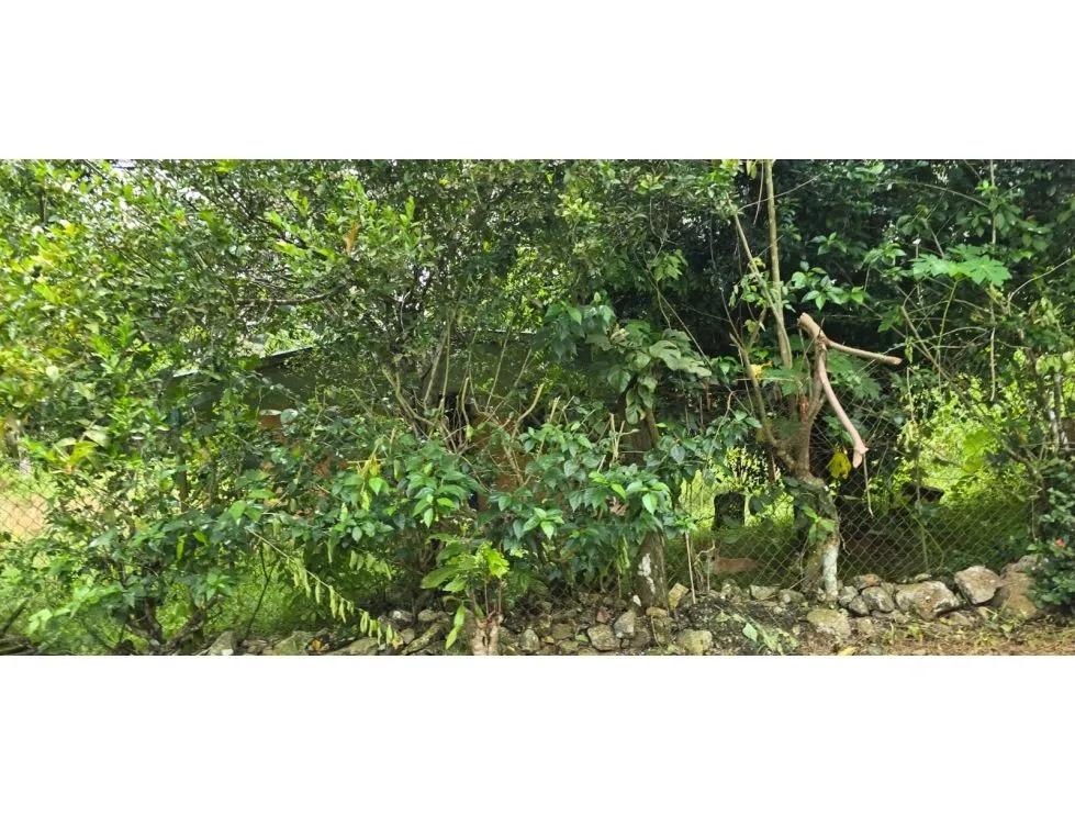 Land Sale in Nuevo Emperador, Arraiján. MY