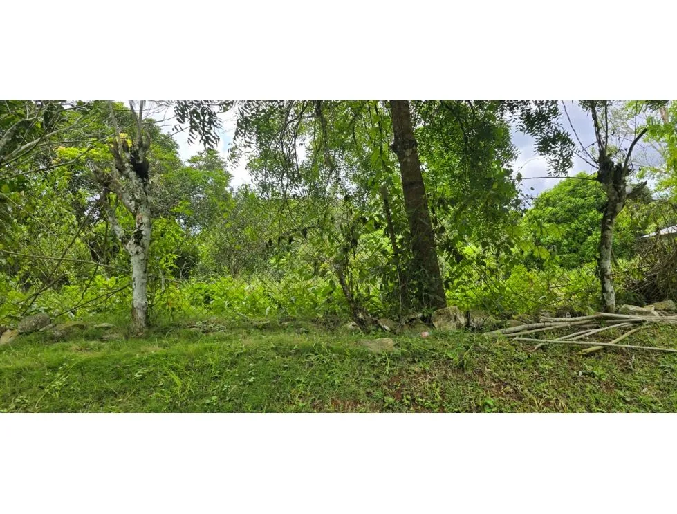 Land Sale in Nuevo Emperador, Arraiján. MY
