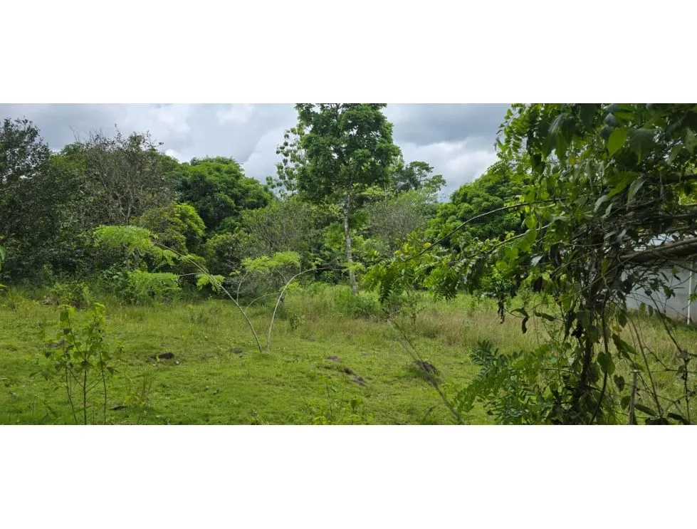 Land Sale in Nuevo Emperador, Arraiján. MY