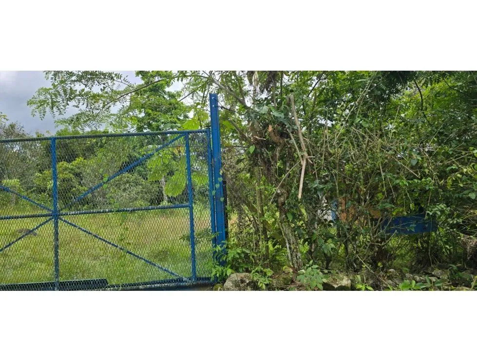 Land Sale in Nuevo Emperador, Arraiján. MY