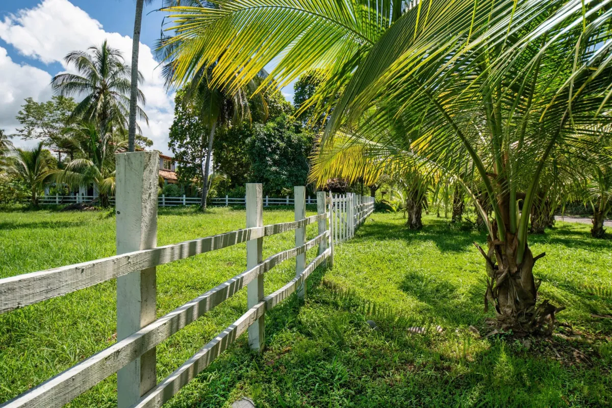 Terreno de primera categoría en Las Lajas, Panamá