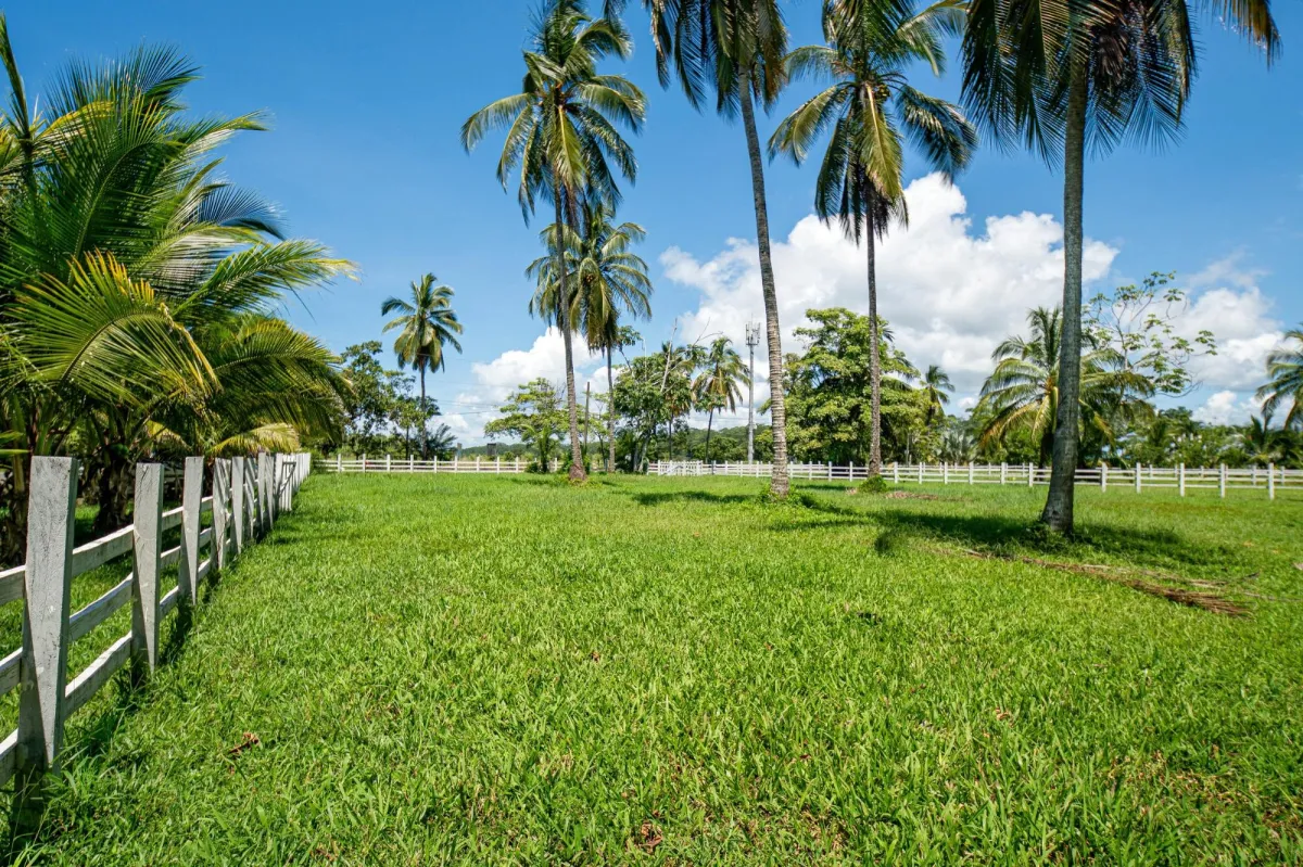 Terreno de primera categoría en Las Lajas, Panamá