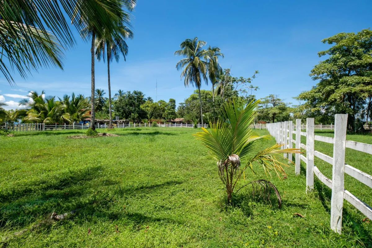 Terreno de primera categoría en Las Lajas, Panamá
