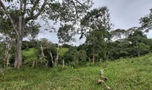 Farm with black soil, pasture, cool climate.