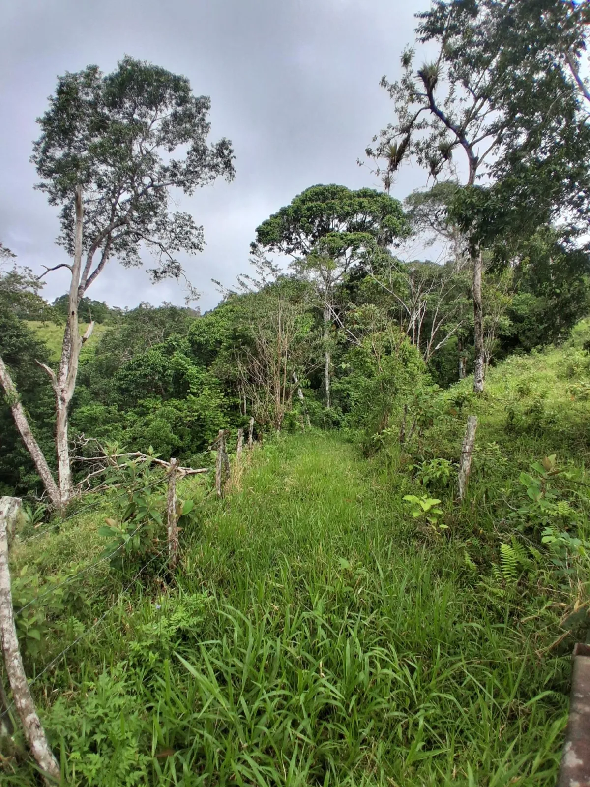 Farm with black soil, pasture, cool climate.