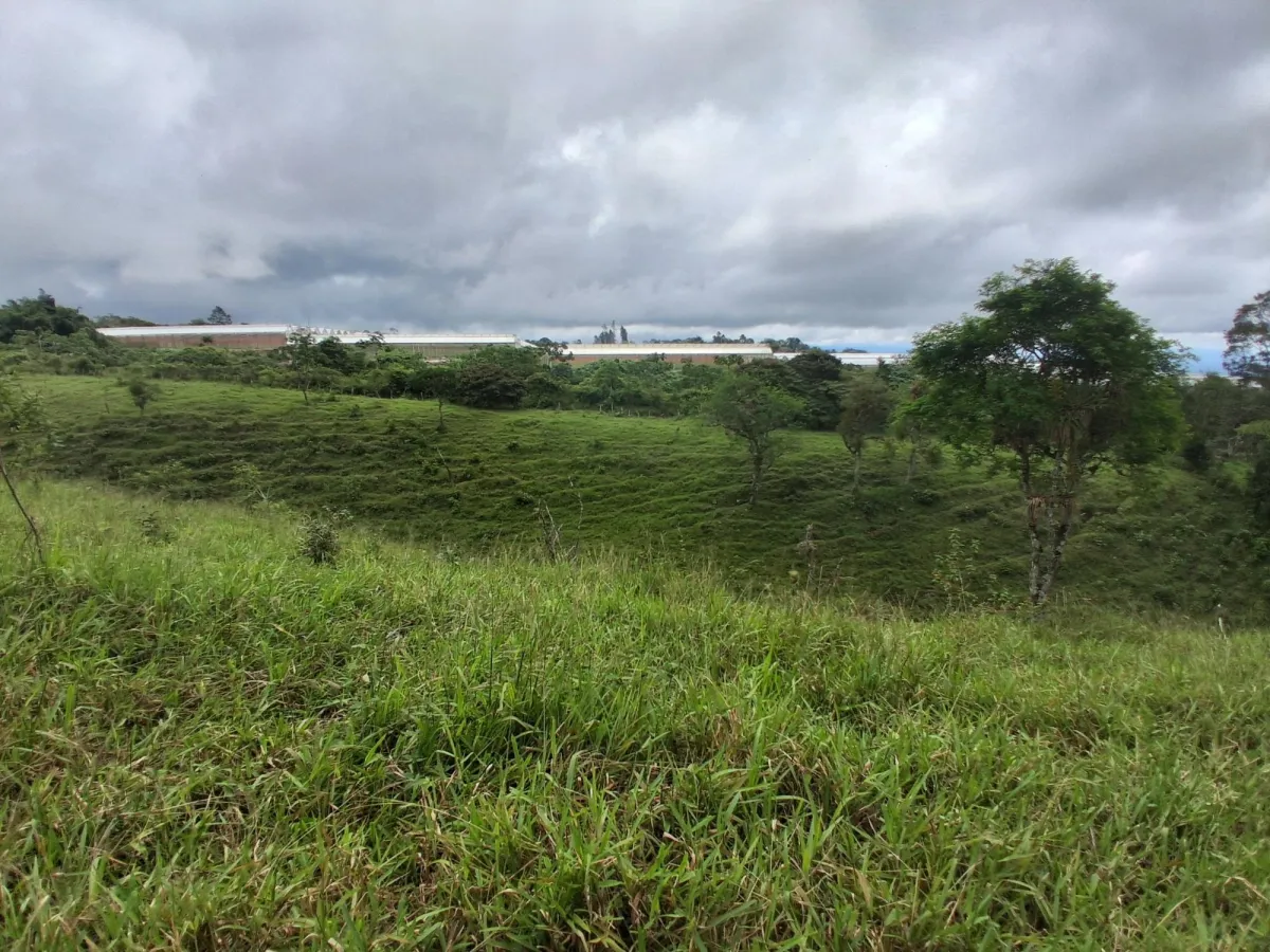 Farm with black soil, pasture, cool climate.
