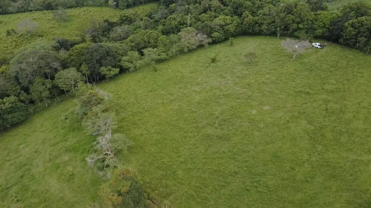 Farm with black soil, pasture, cool climate.