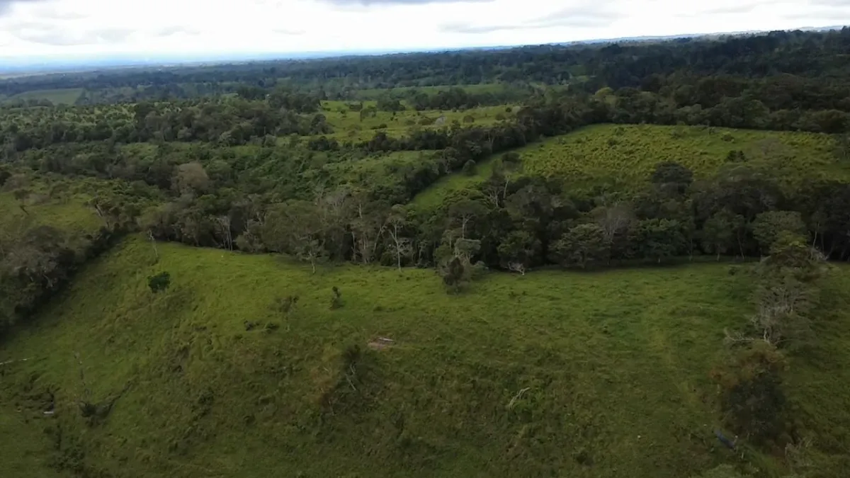 Farm with black soil, pasture, cool climate.