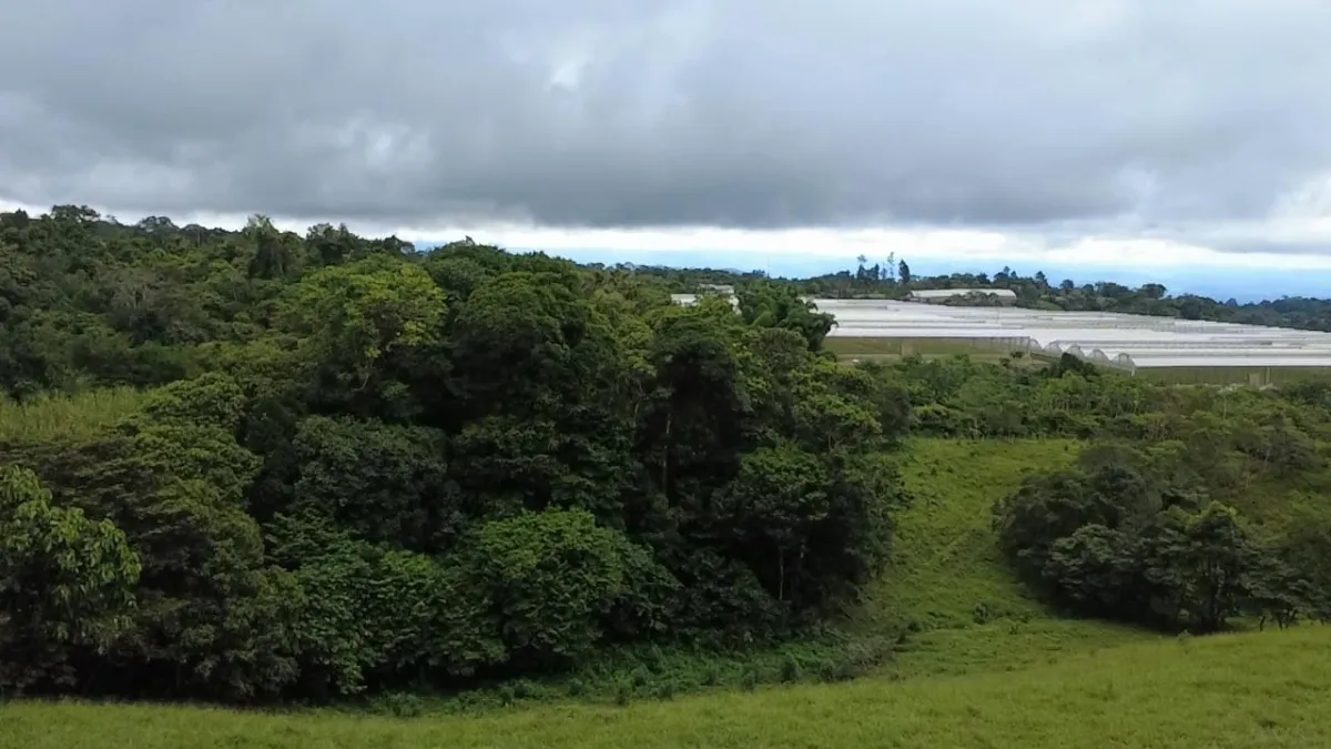 Farm with black soil, pasture, cool climate.