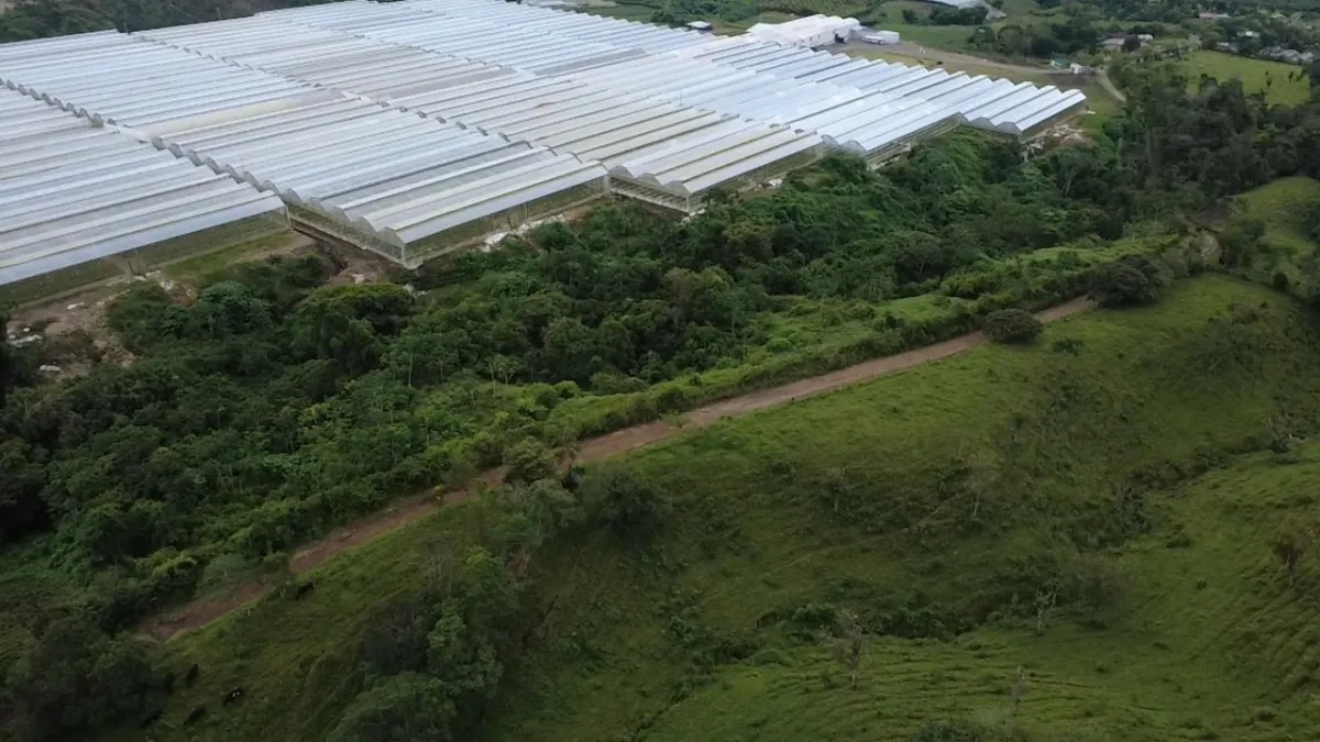 Farm with black soil, pasture, cool climate.