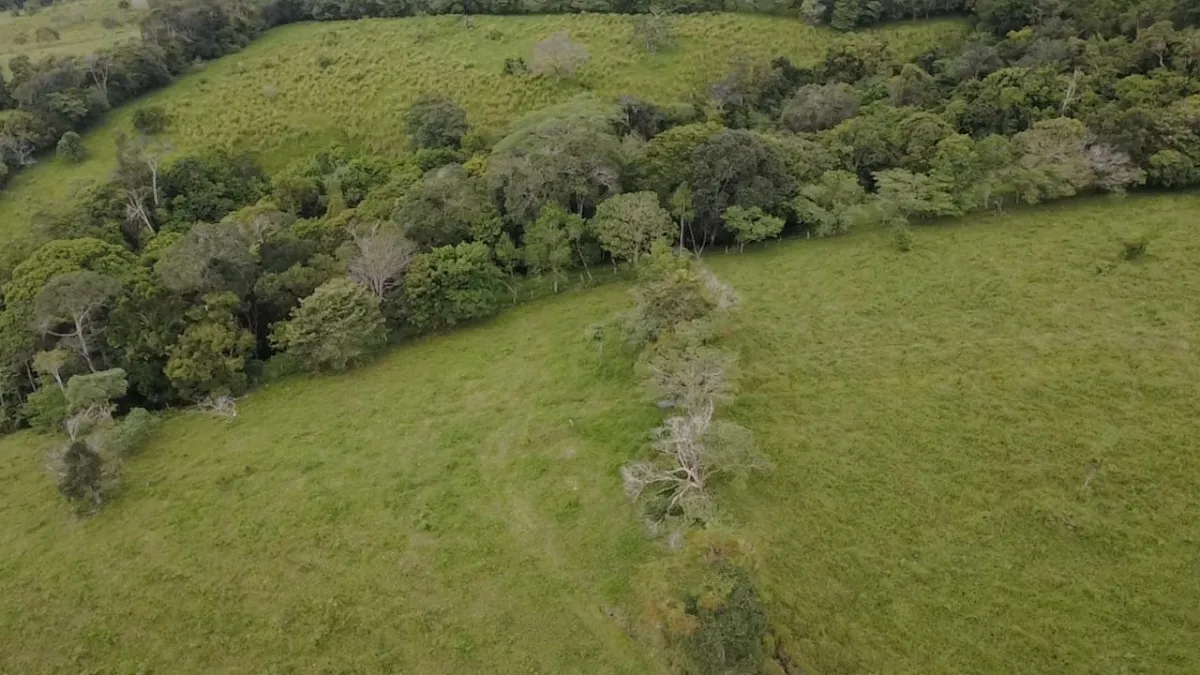 Farm with black soil, pasture, cool climate.