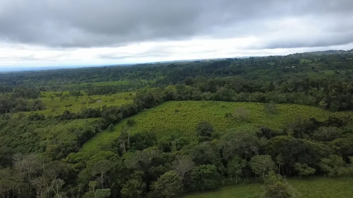 Farm with black soil, pasture, cool climate.