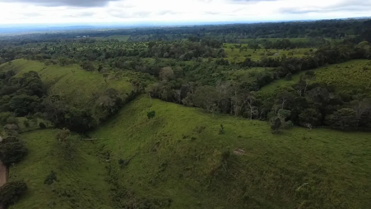 Farm with black soil, pasture, cool climate.