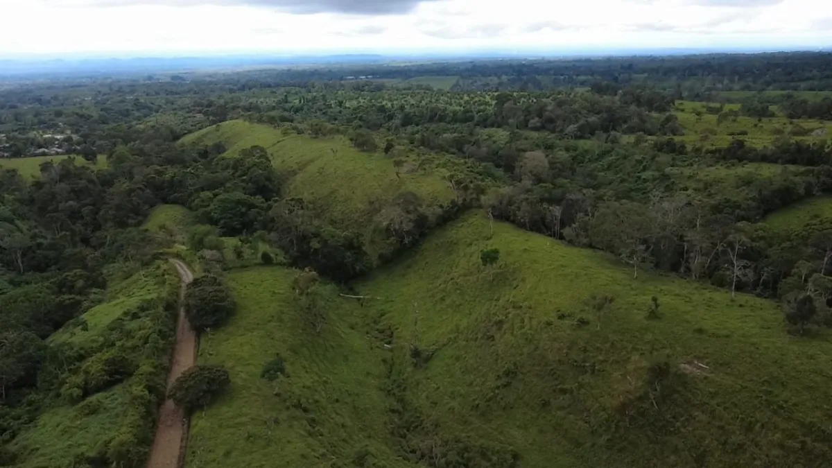 Farm with black soil, pasture, cool climate.