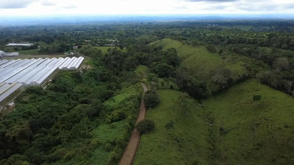 Farm with black soil, pasture, cool climate.