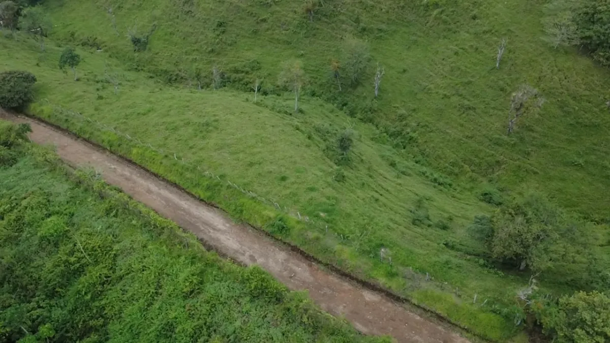 Farm with black soil, pasture, cool climate.