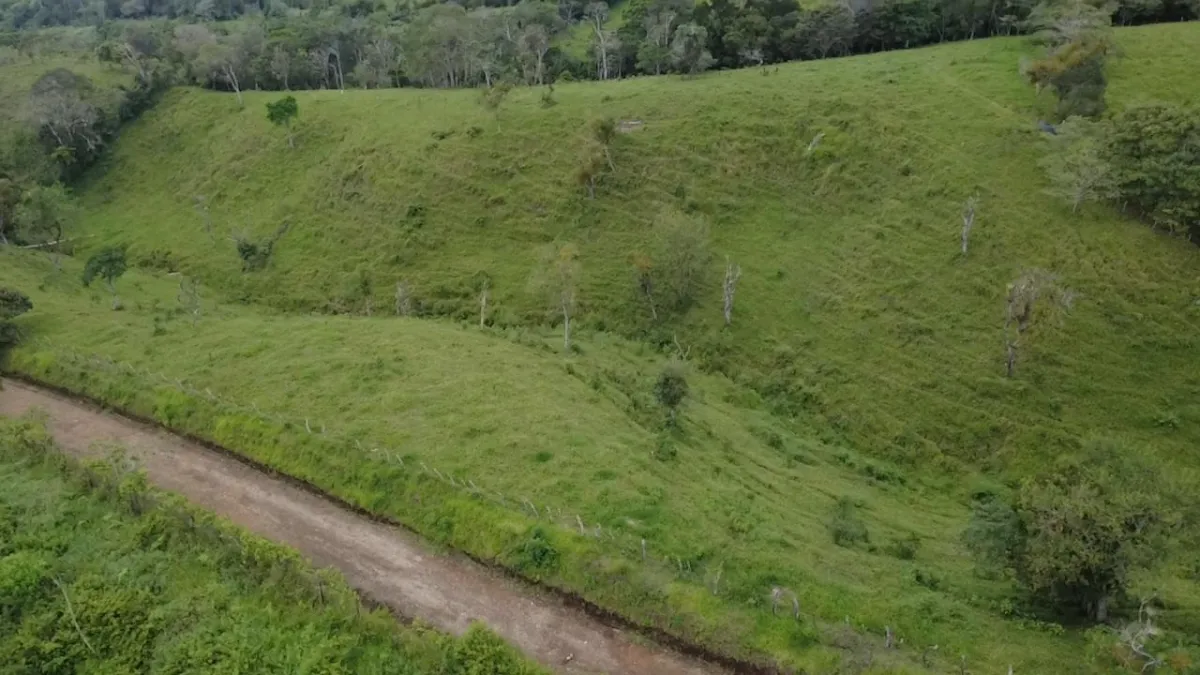 Farm with black soil, pasture, cool climate.