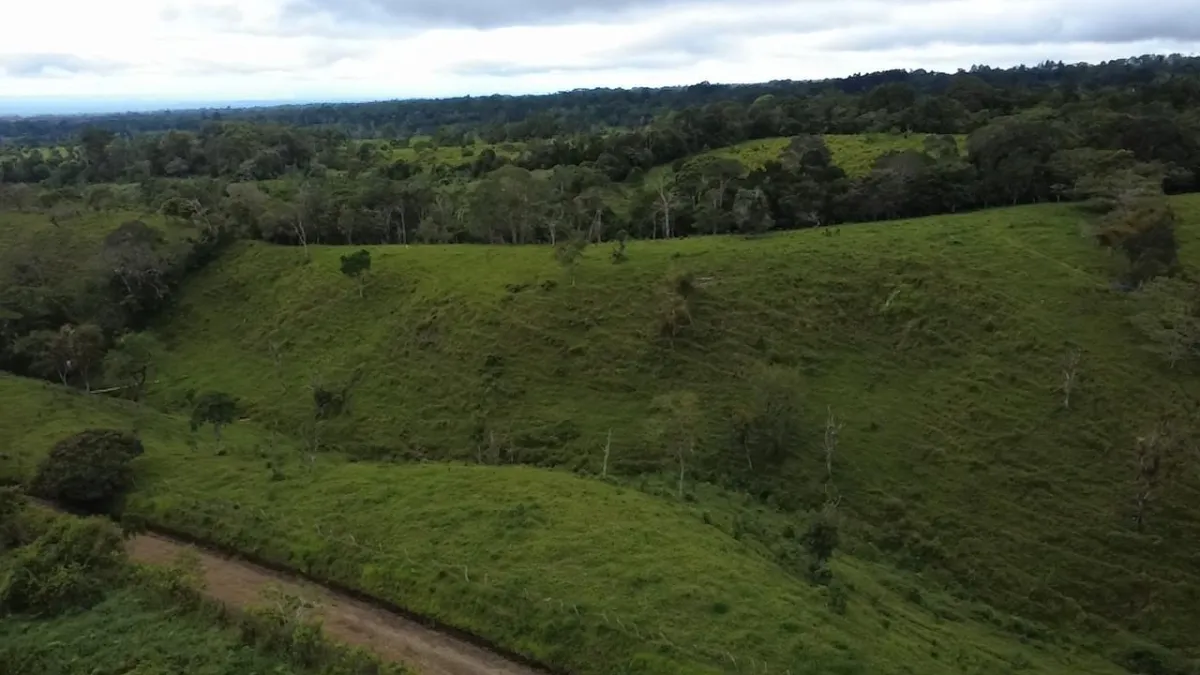 Farm with black soil, pasture, cool climate.