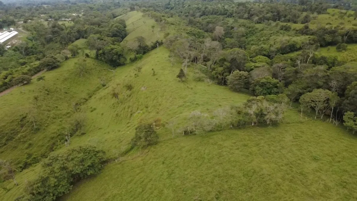 Farm with black soil, pasture, cool climate.