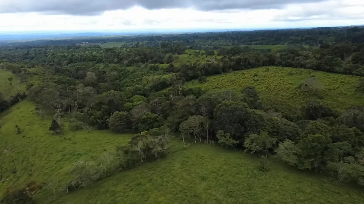 Farm with black soil, pasture, cool climate.