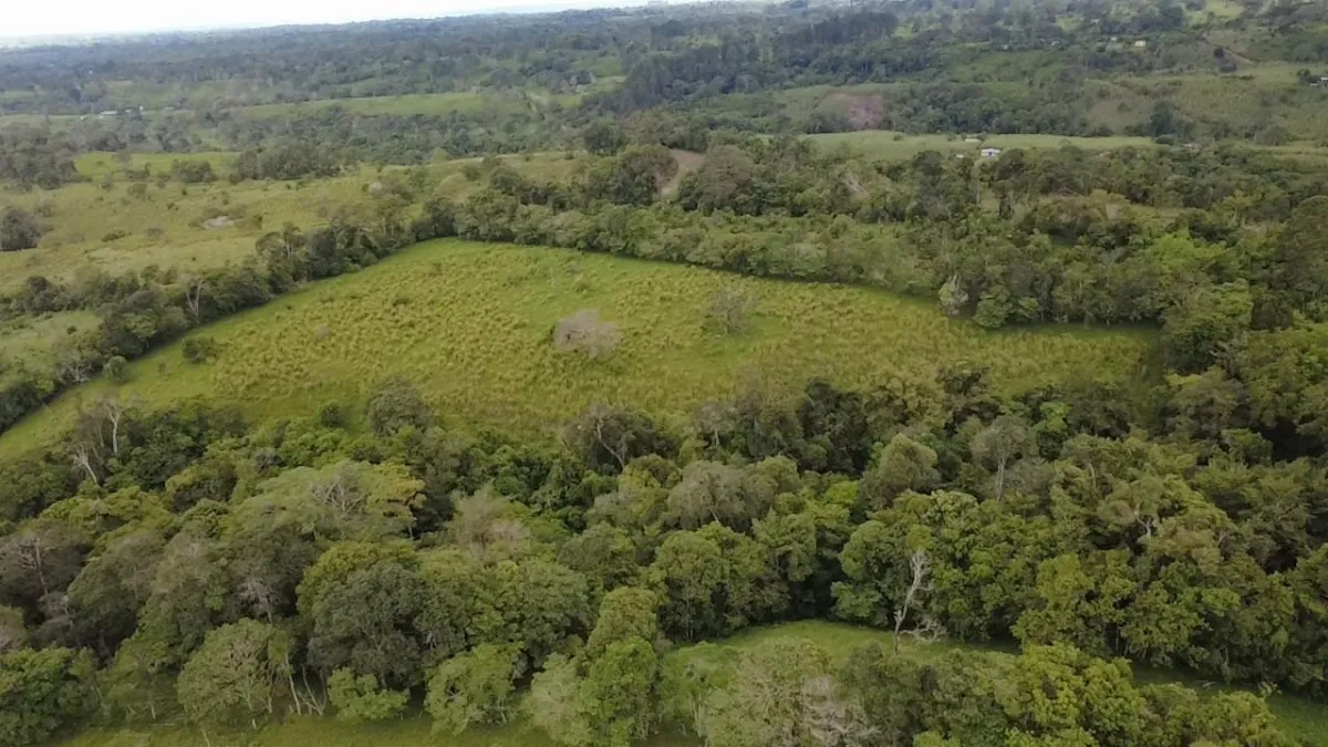 Farm with black soil, pasture, cool climate.