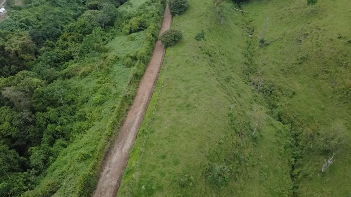 Farm with black soil, pasture, cool climate.