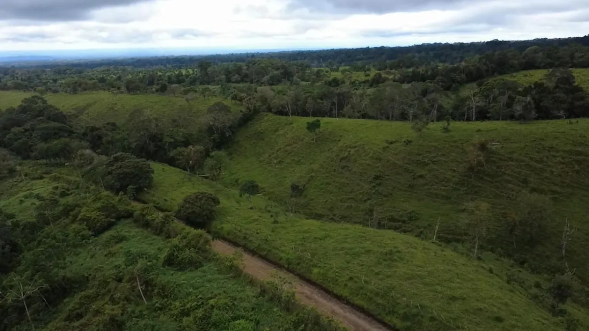 Farm with black soil, pasture, cool climate.