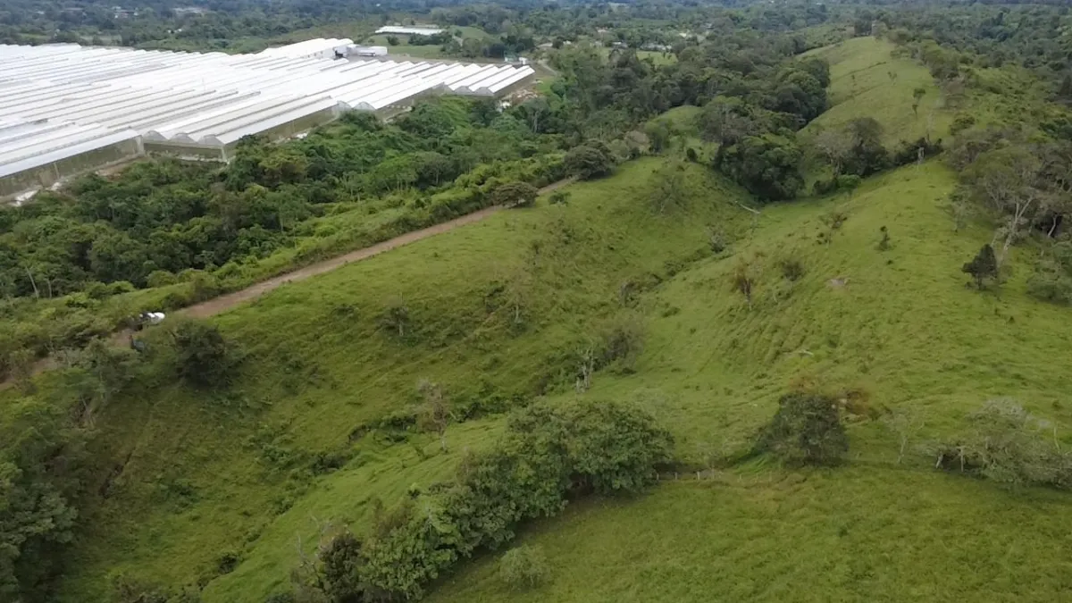 Farm with black soil, pasture, cool climate.