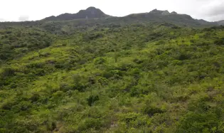 Atractiva finca de 8,7 hectáreas cerca de Santa Fe