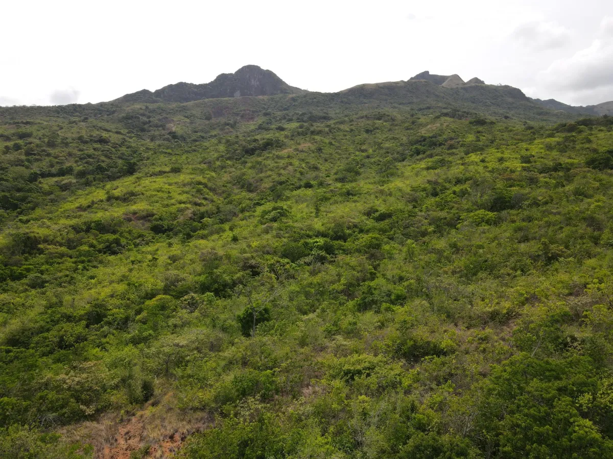 Atractiva finca de 8,7 hectáreas cerca de Santa Fe