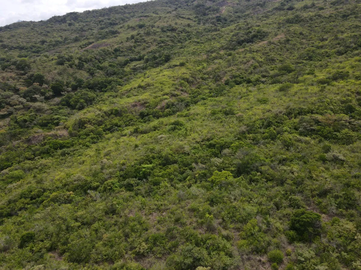 Atractiva finca de 8,7 hectáreas cerca de Santa Fe