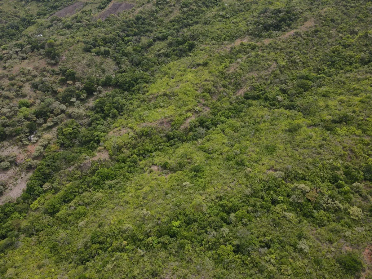 Atractiva finca de 8,7 hectáreas cerca de Santa Fe