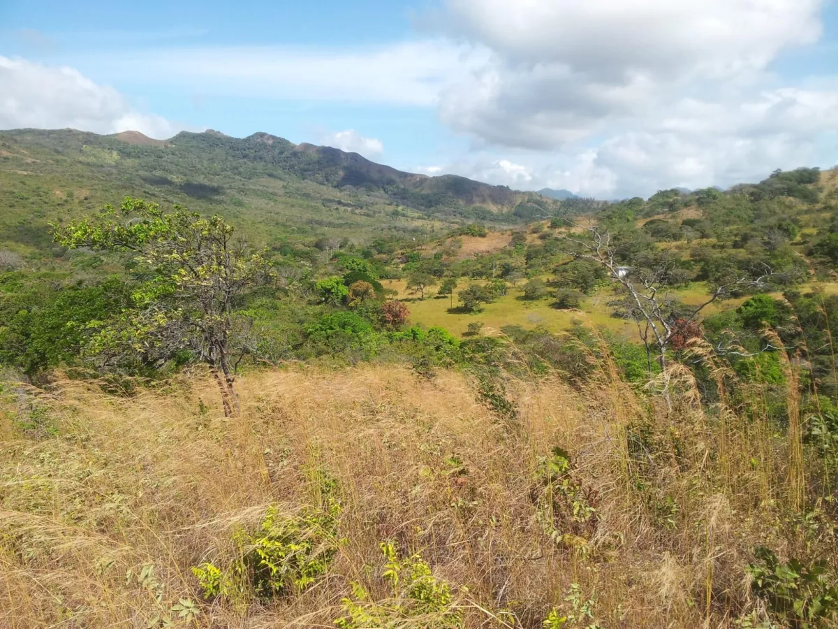 Atractiva finca de 8,7 hectáreas cerca de Santa Fe
