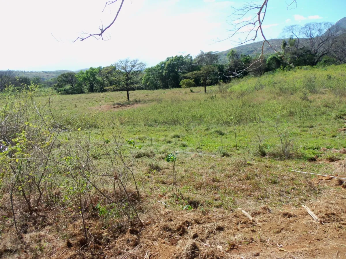 Atractiva finca de 8,7 hectáreas cerca de Santa Fe