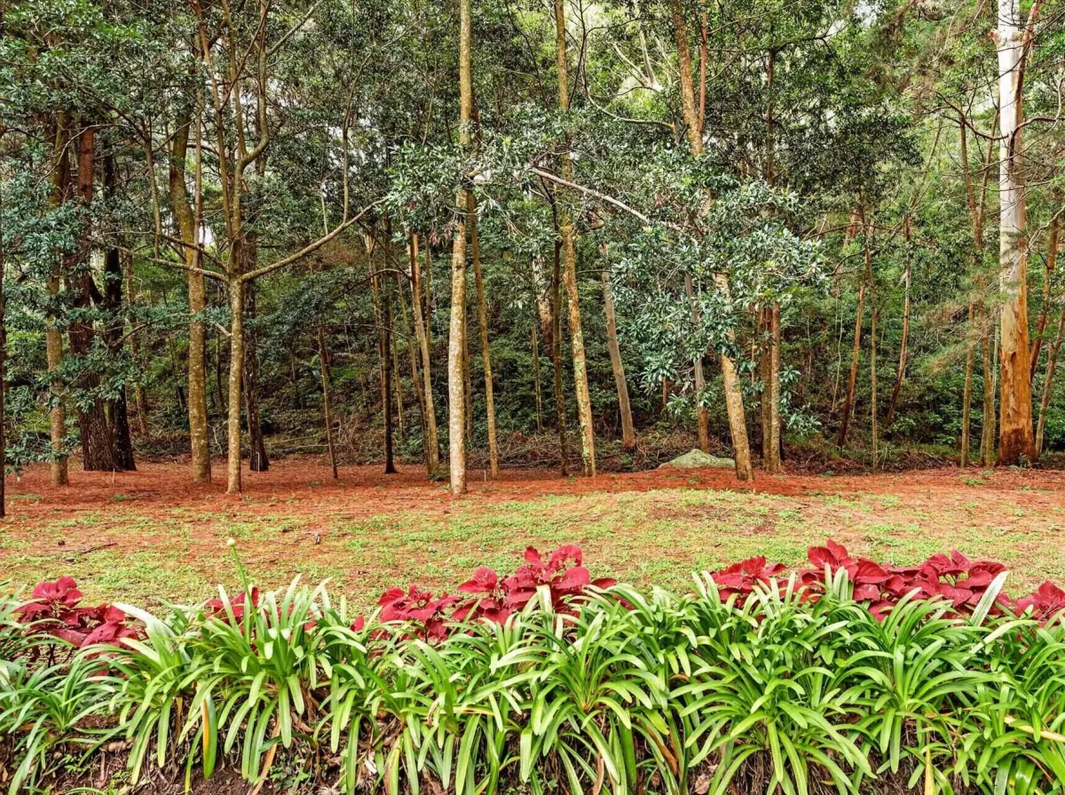 Finca frente al río Bambito en venta | Volcán Panamá