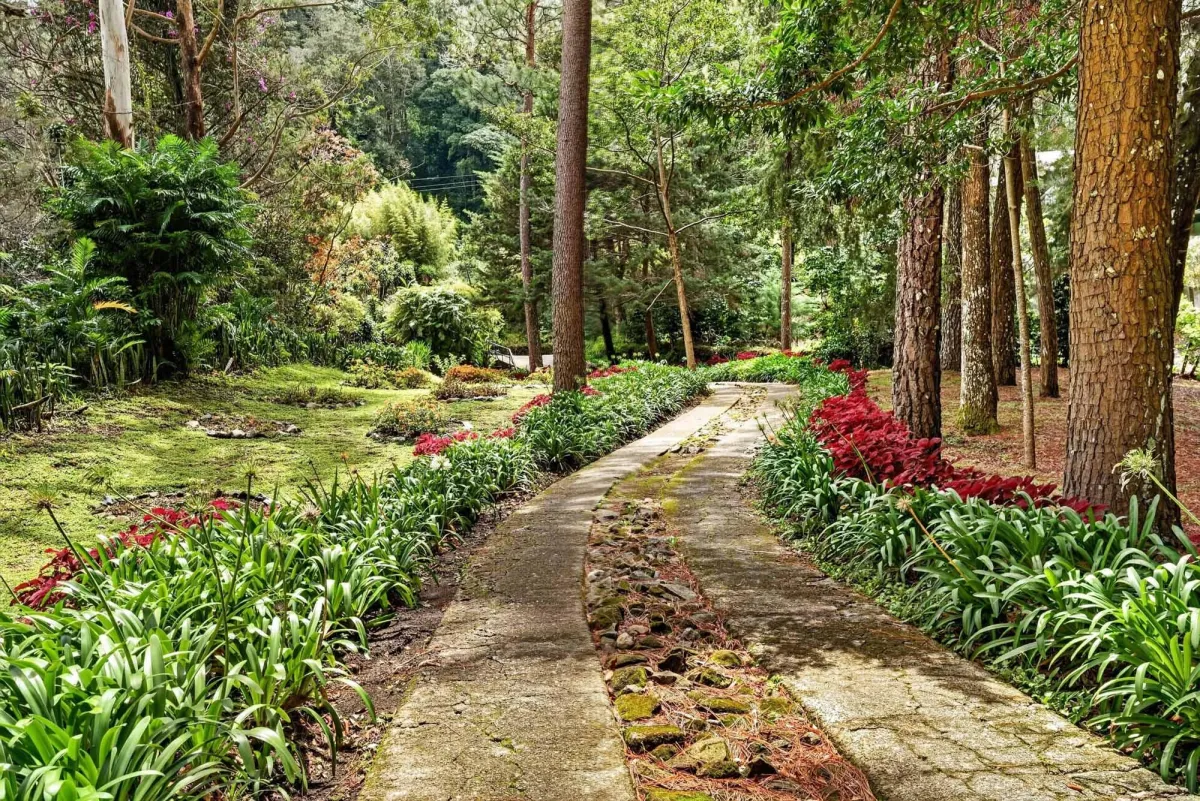 Finca frente al río Bambito en venta | Volcán Panamá