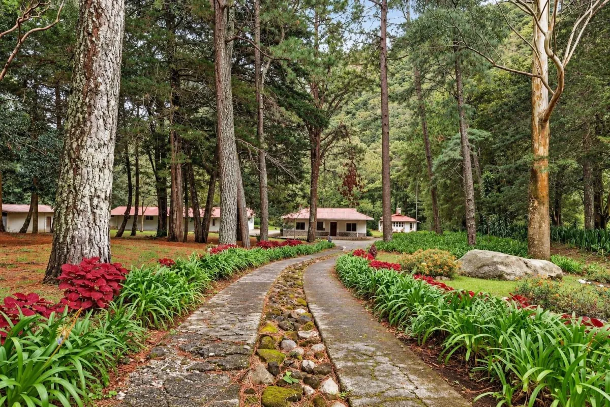 Finca frente al río Bambito en venta | Volcán Panamá