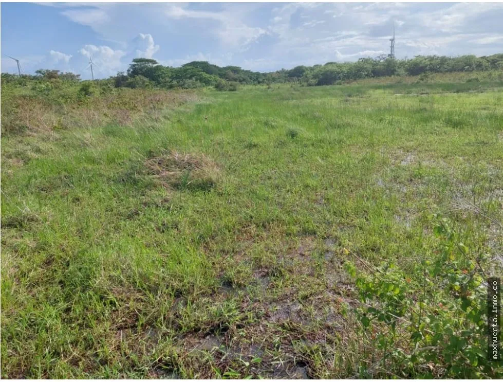 REMATE DE TERRENO EN PENONOME IDEAL PARA BARRIADAS