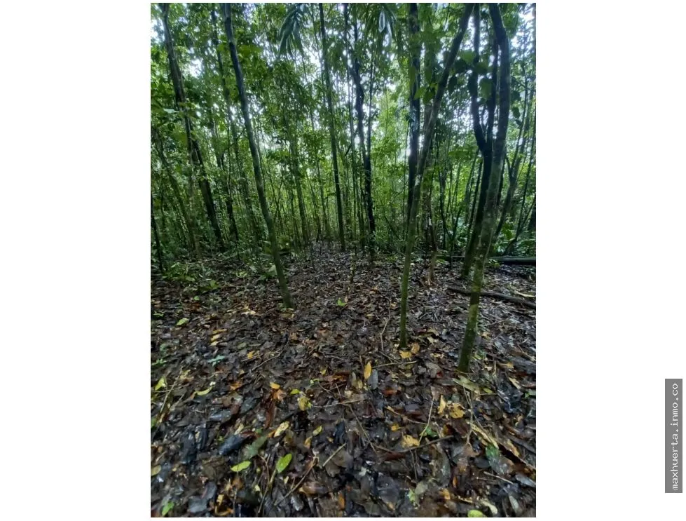 SE VENDE TERRENO EN CERRO AZUL