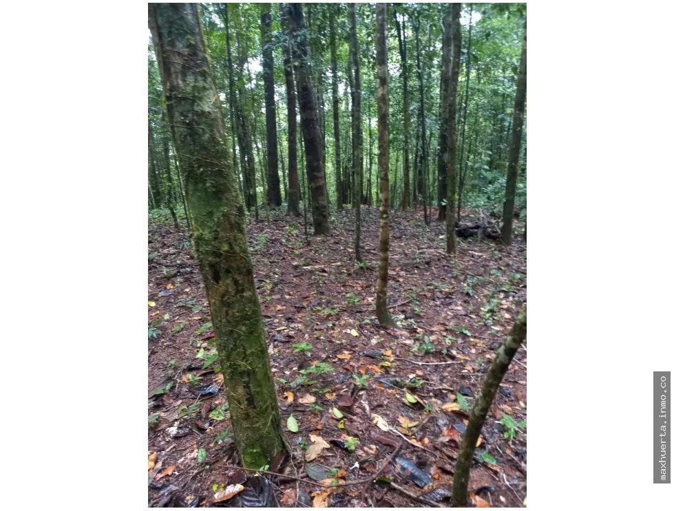 SE VENDE TERRENO EN CERRO AZUL