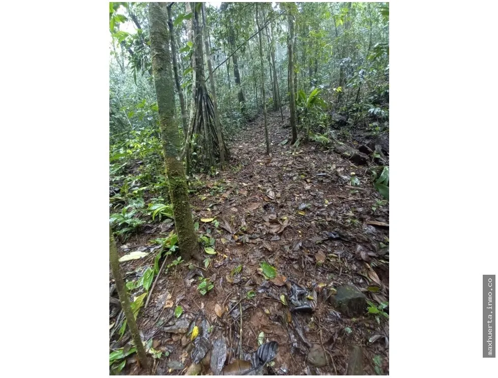 SE VENDE TERRENO EN CERRO AZUL