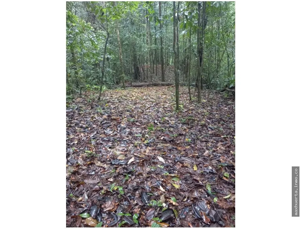 SE VENDE TERRENO EN CERRO AZUL